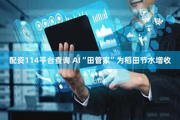 配资114平台查询 AI“田管家”为稻田节水增收