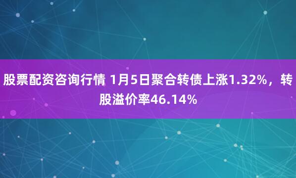 股票配资咨询行情 1月5日聚合转债上涨1.32%，转股溢价率46.14%