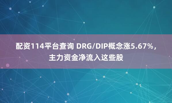 配资114平台查询 DRG/DIP概念涨5.67%，主力资金净流入这些股